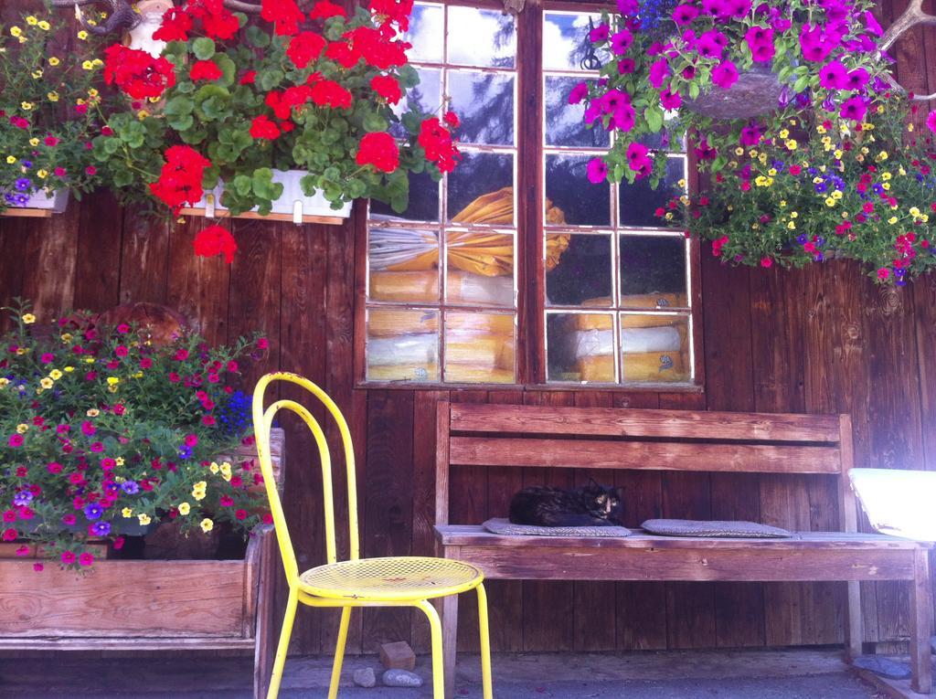 Bnb Guesthouse Lusi Frauenkirch Dış mekan fotoğraf
